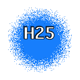 H25